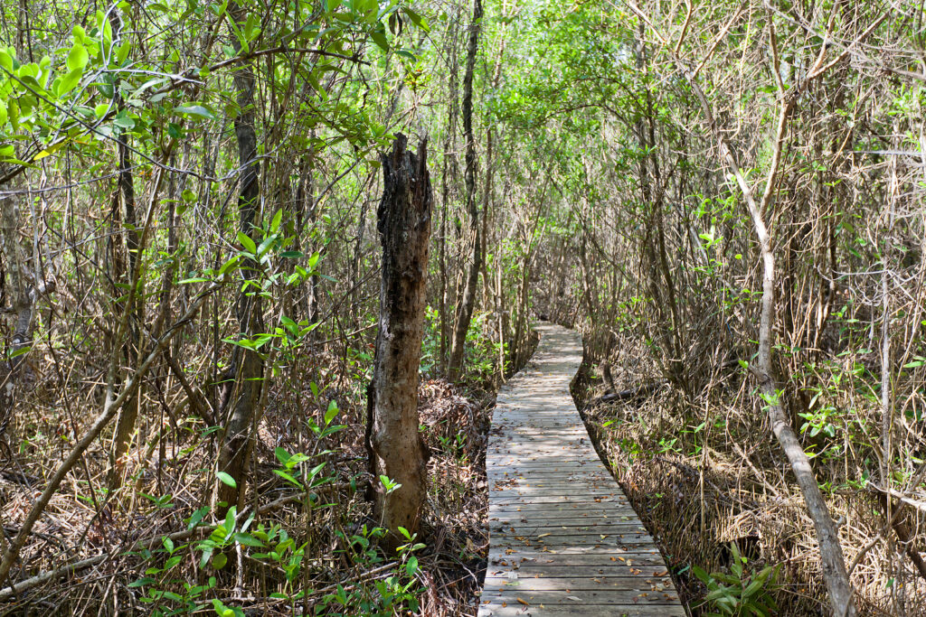 Mastic Reserve of Grand Cayman with Tripps Plus Las Vegas